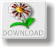 Virtual Music Composer Try Before You Buy